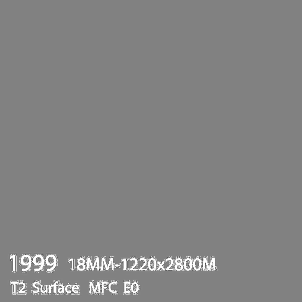[1999MFC4909] 1999 (1999MFC4909)